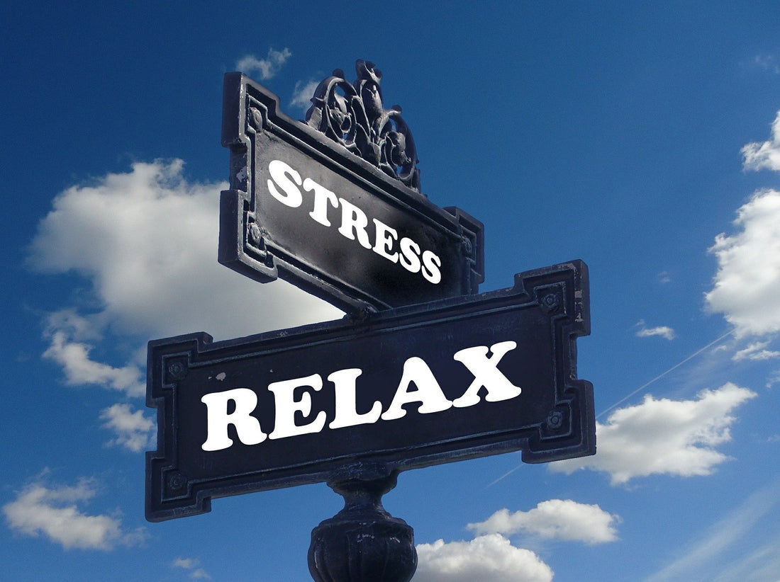 3 Powerful Ways to Relax & Reduce Stress - The Not Busy Company