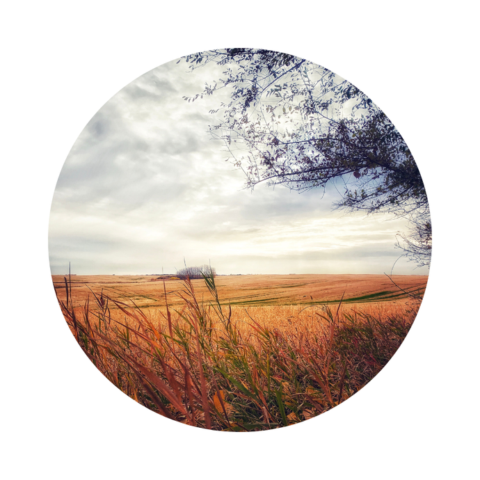 True North Reads - September Theme: Prairie Stories
